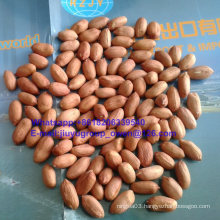 Food Grade Health Food Groundnut Kernel